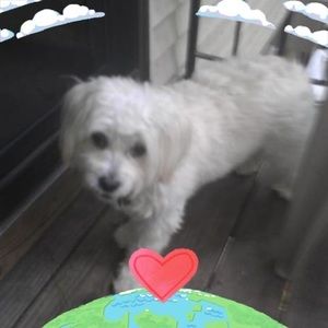 Meet your Posher, Linda